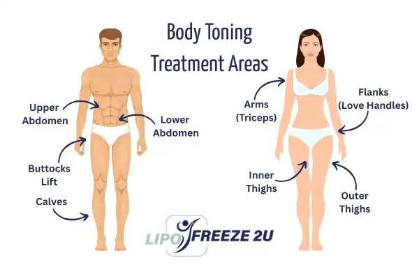 Graphic showing where you can have Body toning Treatment Ascot on your body